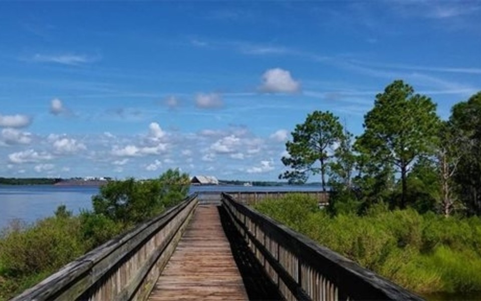 Blue Cypress Park Cleanup with Rising Tides 1